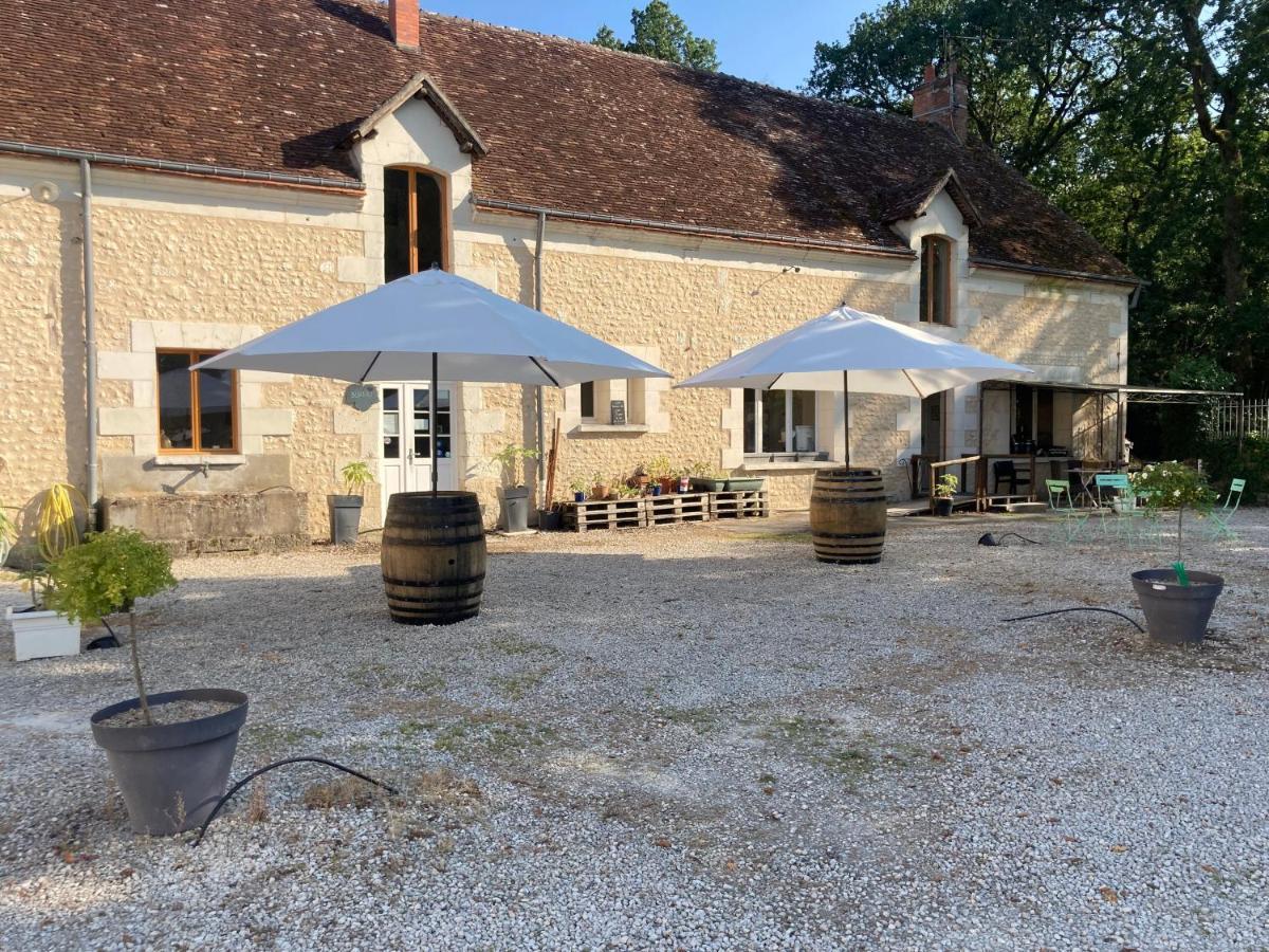 Les Pierres D'Aurele Chambres D'Hotes แซ็งต์-จอร์จ-ซูร์-แชร์ ภายนอก รูปภาพ